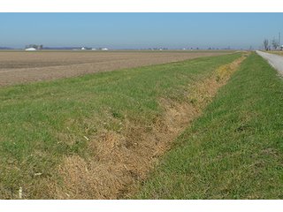 Tract 2 - FARMLAND AUCTION - 165.5+/- ACRES OFFERED IN 5 TRACTS OR COMBINATIONS IN EAST ALLEN COUNTY